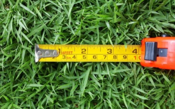 Como Calcular a Quantidade de Grama