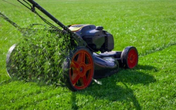 Poda e Manutenção de Gramados