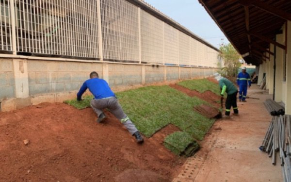 Cuidados Após o Plantio
